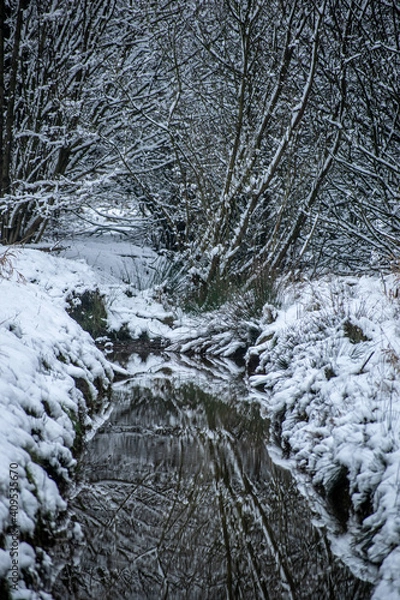 Obraz river in winter forest