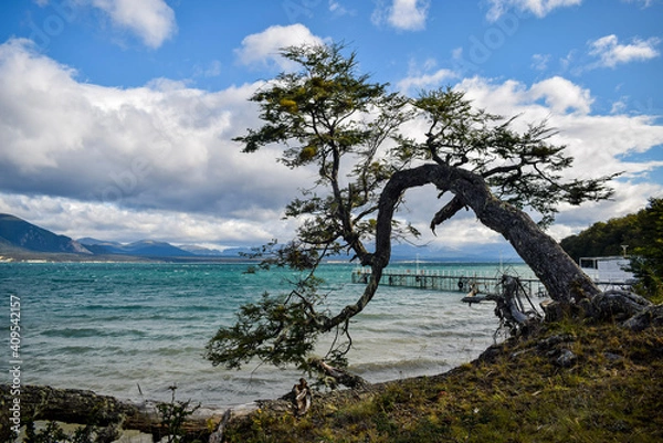 Obraz lake tahoe state