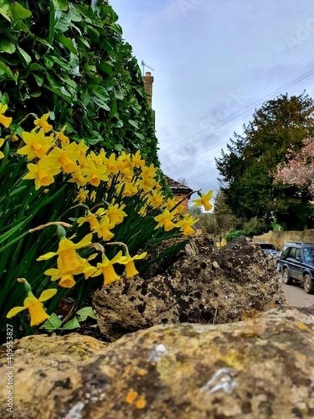 Obraz rocks in the mountains