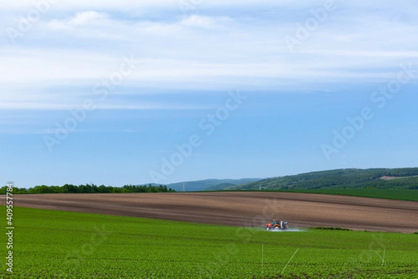 Fototapeta 畑のツートンカラー