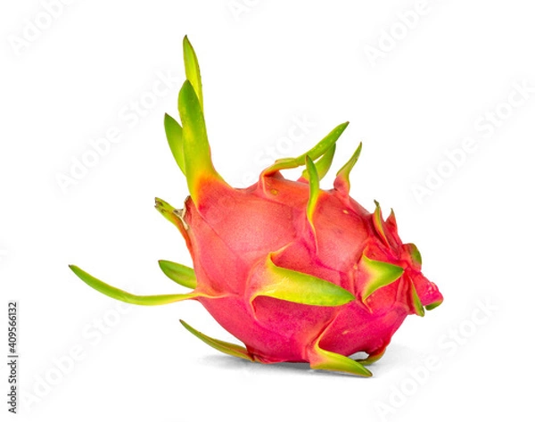Fototapeta Dragon fruit generic vegetable plant isolated on white, clipping path