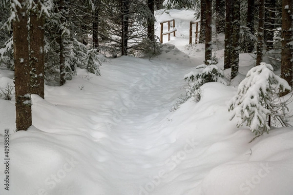 Obraz Winterlandschaft aus Österreich