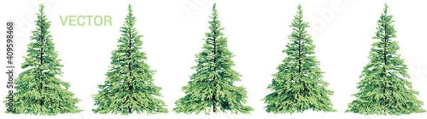 Obraz Vector collection of realistic colorful spruce trees isolated on a white background