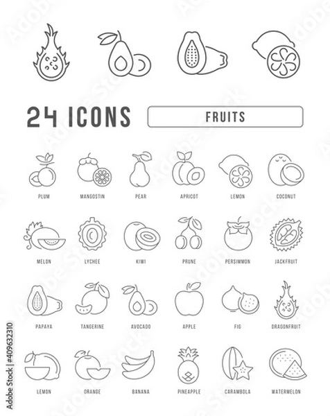 Fototapeta Set of linear icons of Fruits