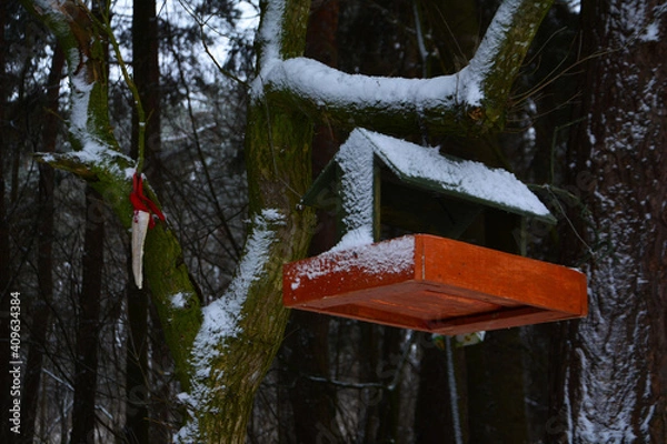 Fototapeta snow covered tree