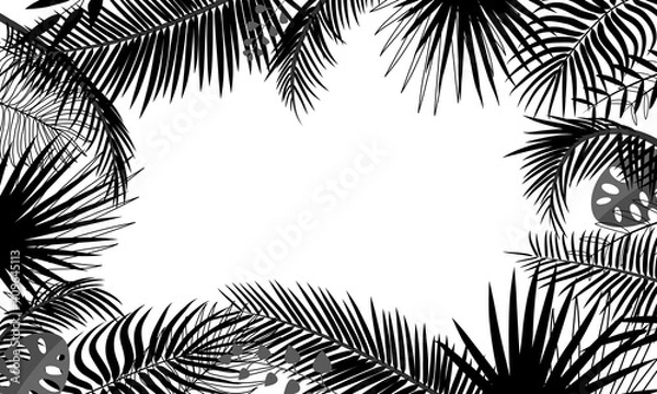 Obraz Banner template with tropical leaves, palm branches, monstera. Tropical poster with black outline drawing on a white background. Floral border, jungle concept, frame with place for text. Vector plant
