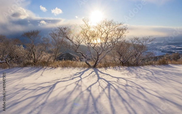 Obraz 冬の平尾台貫山山頂からの朝日
