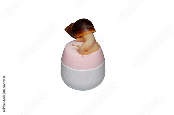 Fototapeta Skin rejuvenation cosmetics on white background with snail, cream with snail mucin, skin hydration, spa.