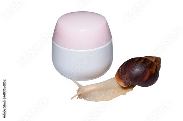 Fototapeta Skin rejuvenation cosmetics on white background with snail, cream with snail mucin, skin hydration, spa.
