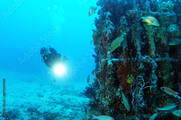 Fototapeta Diving in the Caribbean at the RMS Rhone, beautiful environment with beautiful animals, the ship sank 1867 at Salt Island and 123 people lost there lives, 