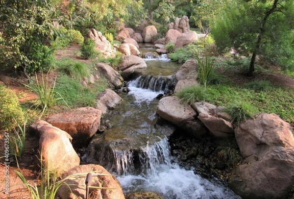 Obraz A flowing stream around sunset with lush trees and plants in a Japanese garden located in Phoenix, Arizona 
