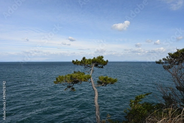 Obraz tree on the shore