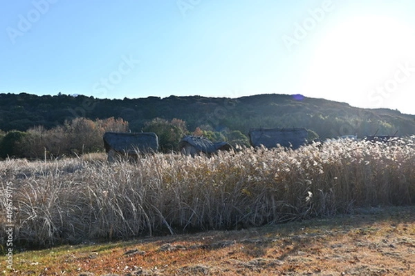 Obraz autumn in the mountains
