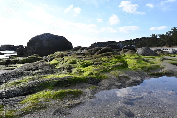 Obraz rocks in the river