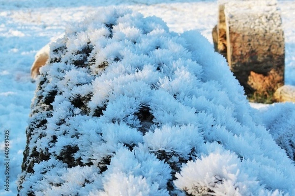 Obraz Snowy crystals on a log