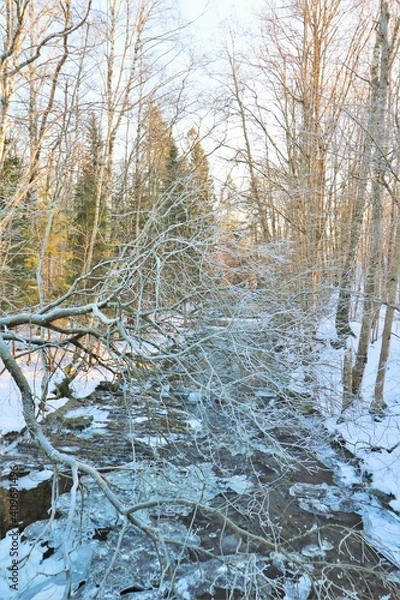 Obraz Semi frozen stream