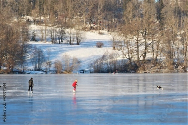 Obraz Dog runs on a lake