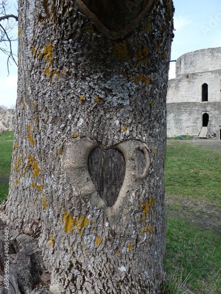 Fototapeta Old tree with a heart on the crown of the tree. The tree stands against the background of the old fortress.
A romantic walk through the old places of the city.
St. Valentine's Day 