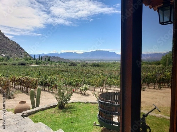 Obraz Sight from a vineyard in Cafayate