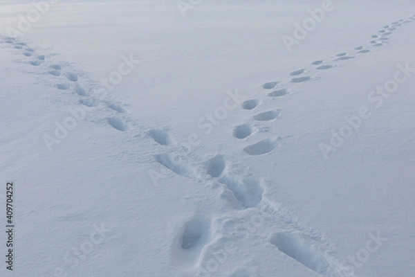 Obraz Footprints intersected in deep snow