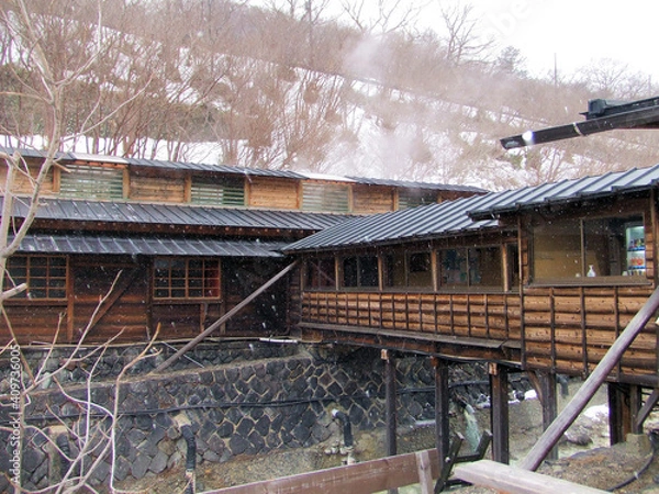 Obraz 日本・栃木県那須温泉の「鹿の湯」