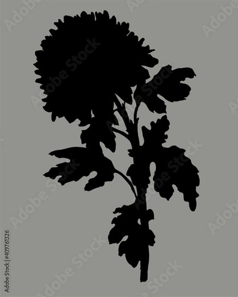 Fototapeta Black silhouette of hand drawn Chrysanthemum flower, stem and leaves isolated on gray. Vector monochrome freehand sketch. Design element for created hand drawn greeting card, poster, package.