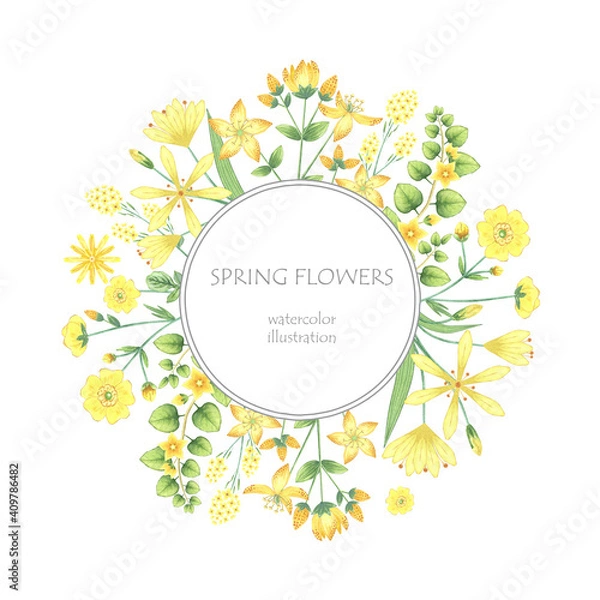 Fototapeta Watercolor floral wreath. Botanical llustration of lily, buttercup, salsify. Round frame of yellow flowers for packaging, label design. Meadow wild herb.