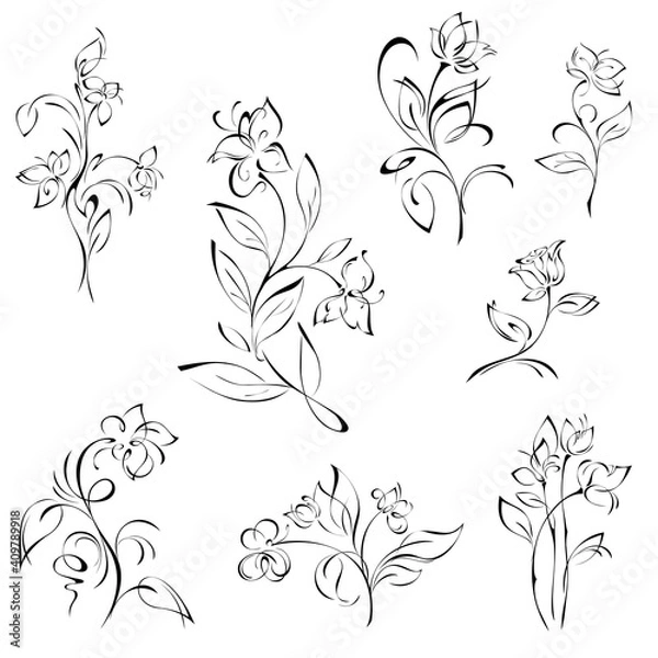 Fototapeta stylized flowers on stems with leaves in black lines on white background. SET