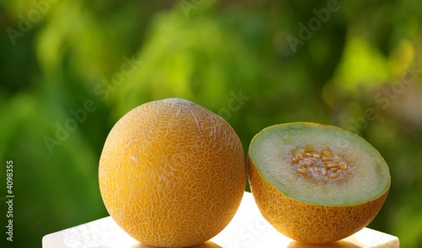 Fototapeta A yellow melon with natural light reflection.