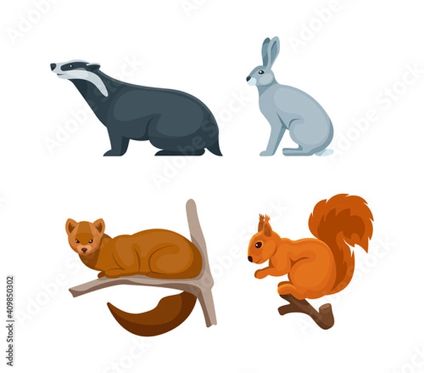 Fototapeta Woodland forest animals. Cute wild forest animals badger, hare, squirrel, sable