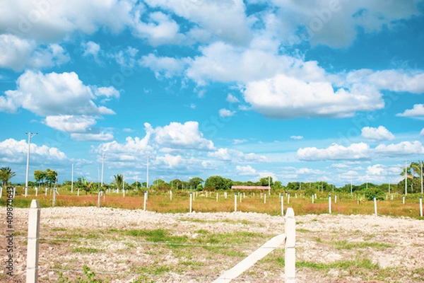 Fototapeta Color Field Farm