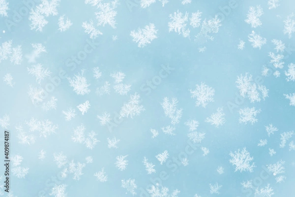 Fototapeta frosty pattern on glass
