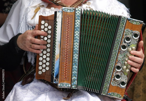 Fototapeta Akkordeon