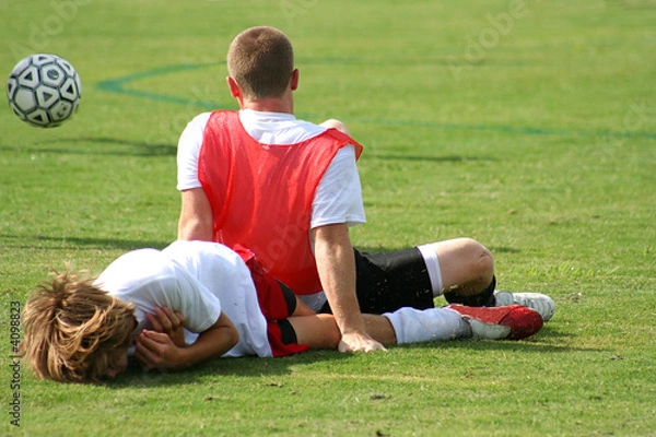 Obraz Injured Players