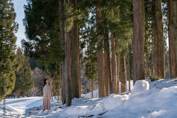 Obraz 女性と雪と自然