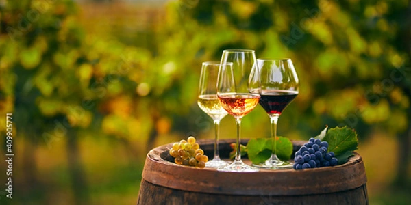 Obraz Three glasses with white, rose and red wine on a wooden barrel in the vineyard. Wide photo