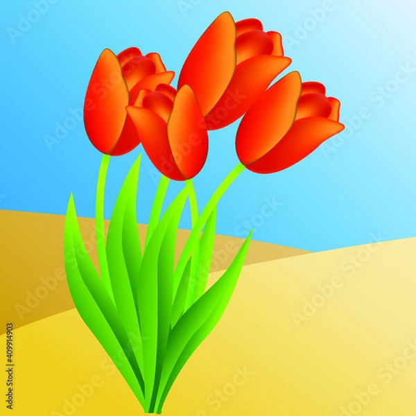 Obraz tulips red vector