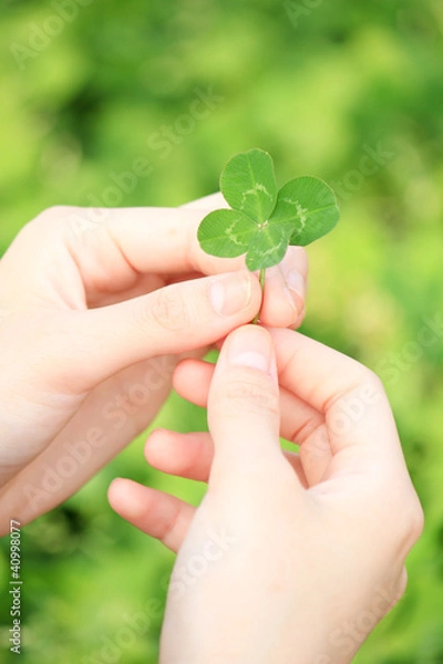 Obraz 四つ葉のクローバー