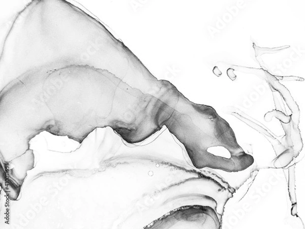 Fototapeta Dreamy Composition.  Transparent Monochrome