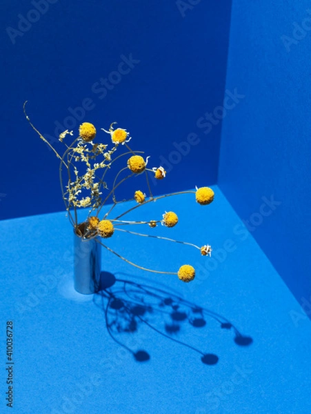 Obraz Old dried chamomile over blue background corner