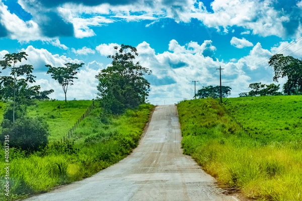 Obraz road in the countryside