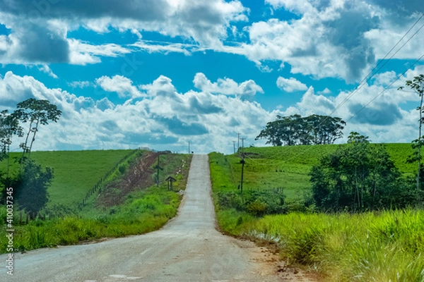 Obraz road in the field