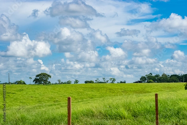 Obraz field and sky