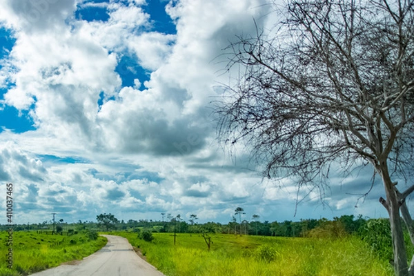 Obraz road in the field