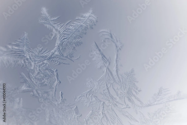 Obraz Frosty Elegance