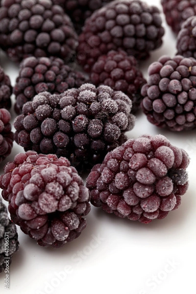 Fototapeta blackberries