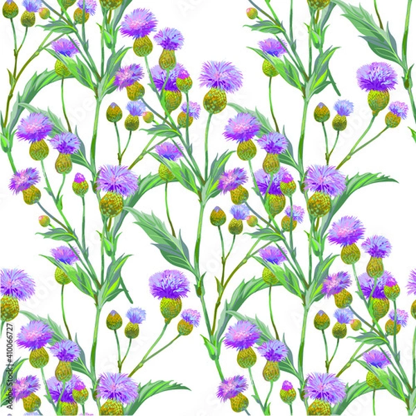 Fototapeta Persian cornflower. Vector seamless background pattern #1