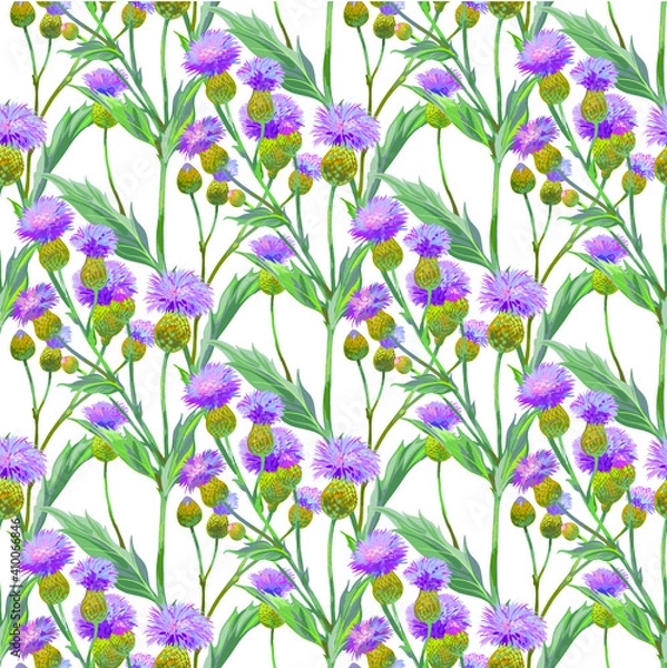 Fototapeta Persian cornflower. Vector seamless background pattern #2