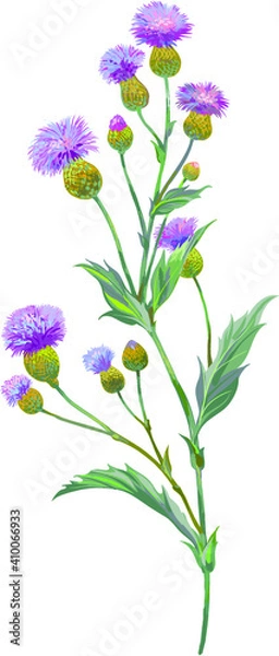 Obraz Flowers and leaves. Vector persian cornflower