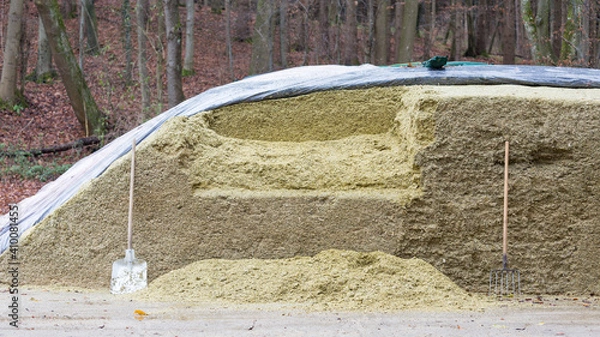 Fototapeta Silage pile - animal food mainly used for cows. With a shovel and a pitchfork leaning on the silage pile.